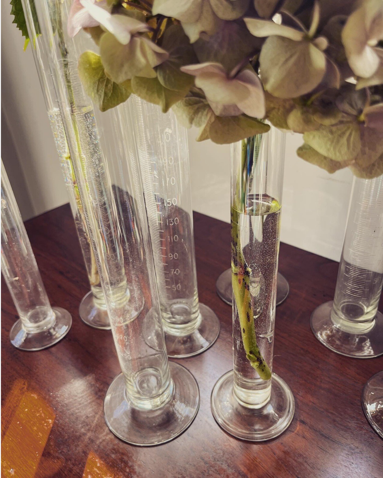 Screenshot 2026-02-07 at 11.47.34.png