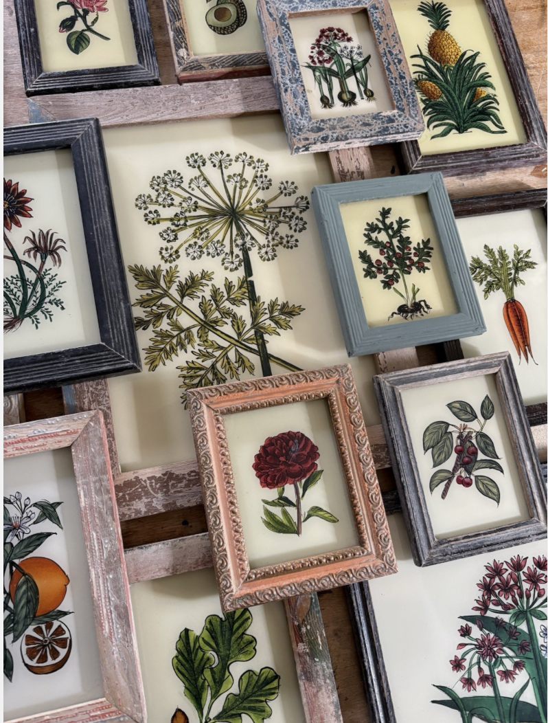 Botanical Glass Paintings