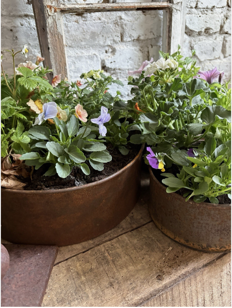 Screenshot 2026-04-24 at 11.11.08.png