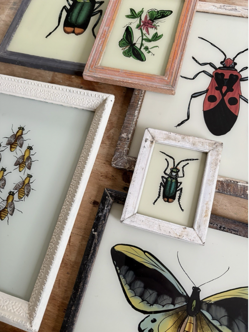 Insect Reverse Glass Paintings
