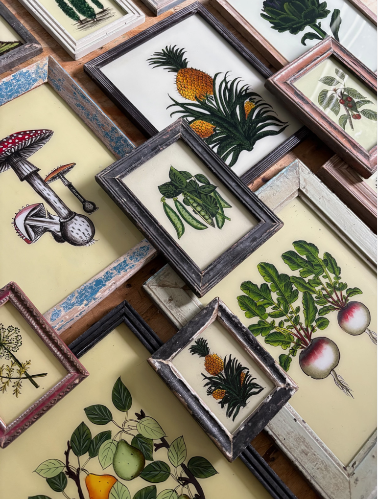 Botanical Reverse Glass Paintings