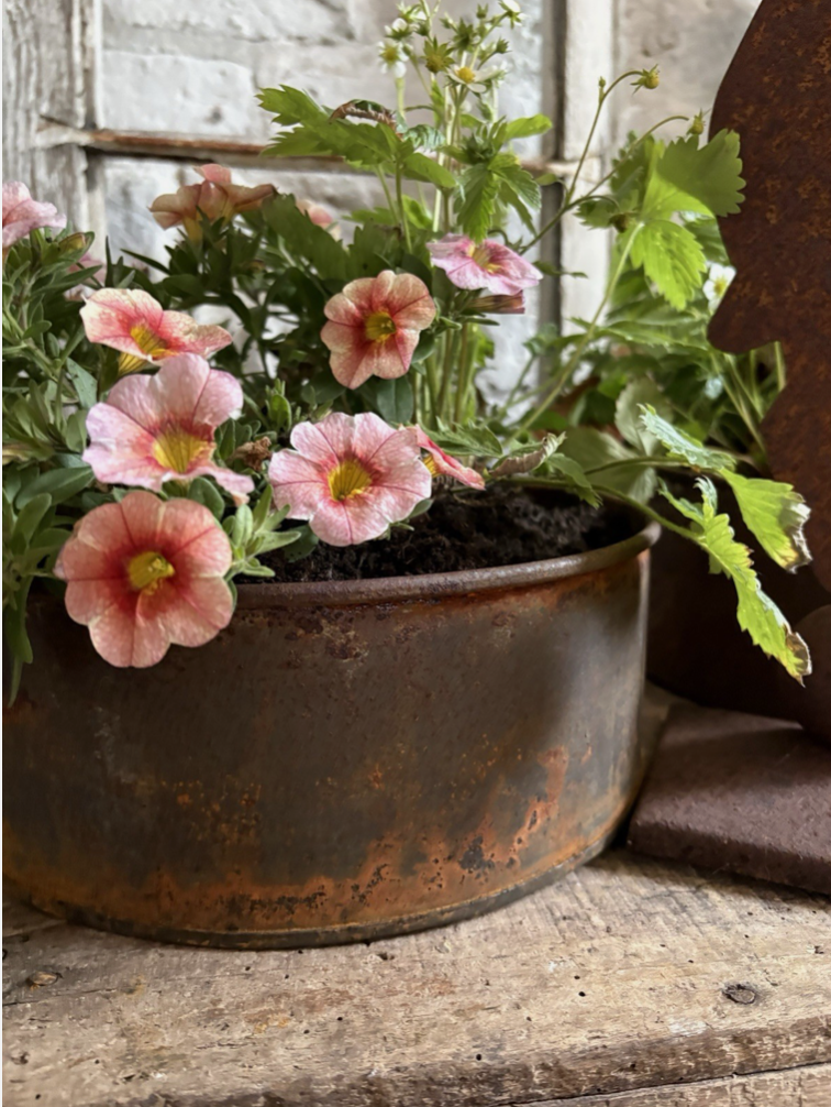 Screenshot 2026-04-24 at 11.12.32.png