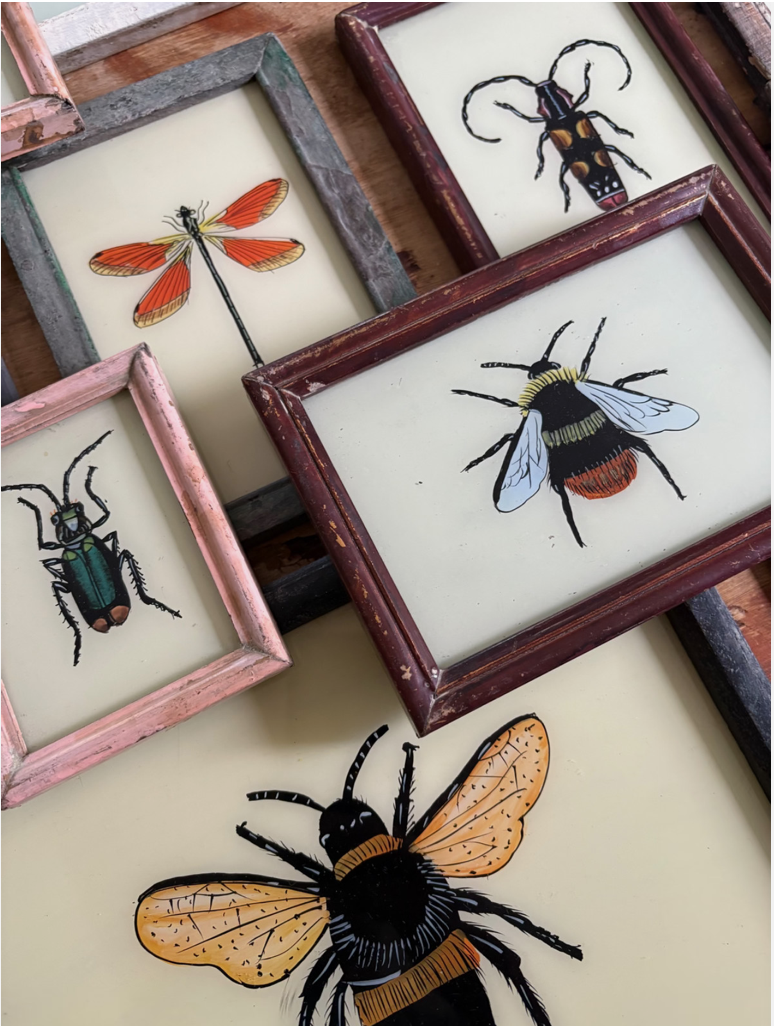 Insect Reverse Glass Paintings