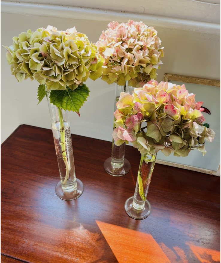 Screenshot 2026-02-07 at 11.47.17.png