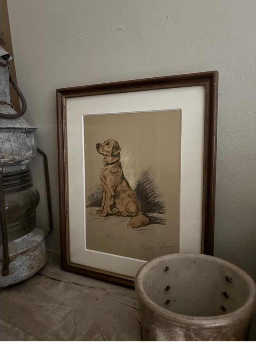Vintage Framed Dog Print