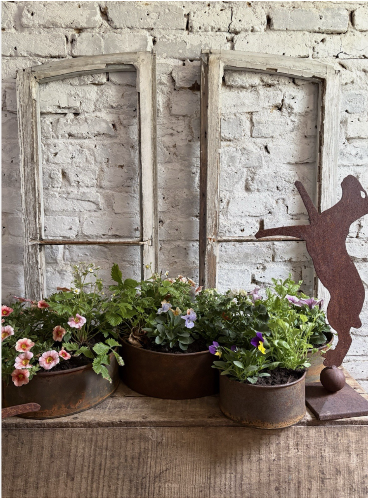 Screenshot 2026-04-24 at 11.10.39.png