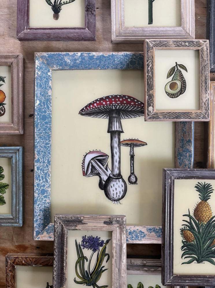 Screenshot 2026-03-04 at 15.52.07.png