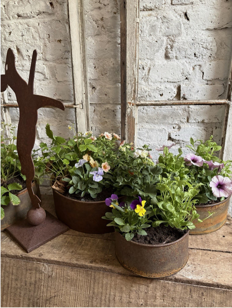 Screenshot 2026-04-24 at 11.12.23.png