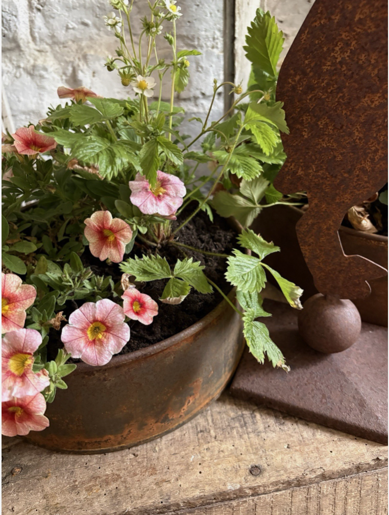 Screenshot 2026-04-24 at 11.11.16.png