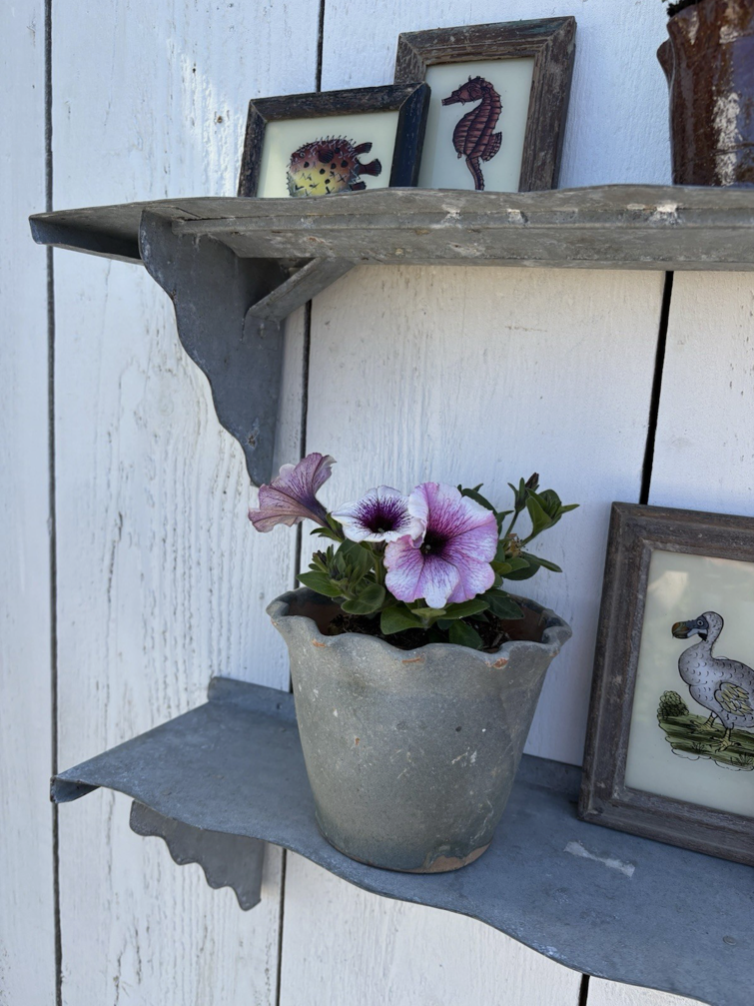 Screenshot 2026-04-24 at 11.36.15.png