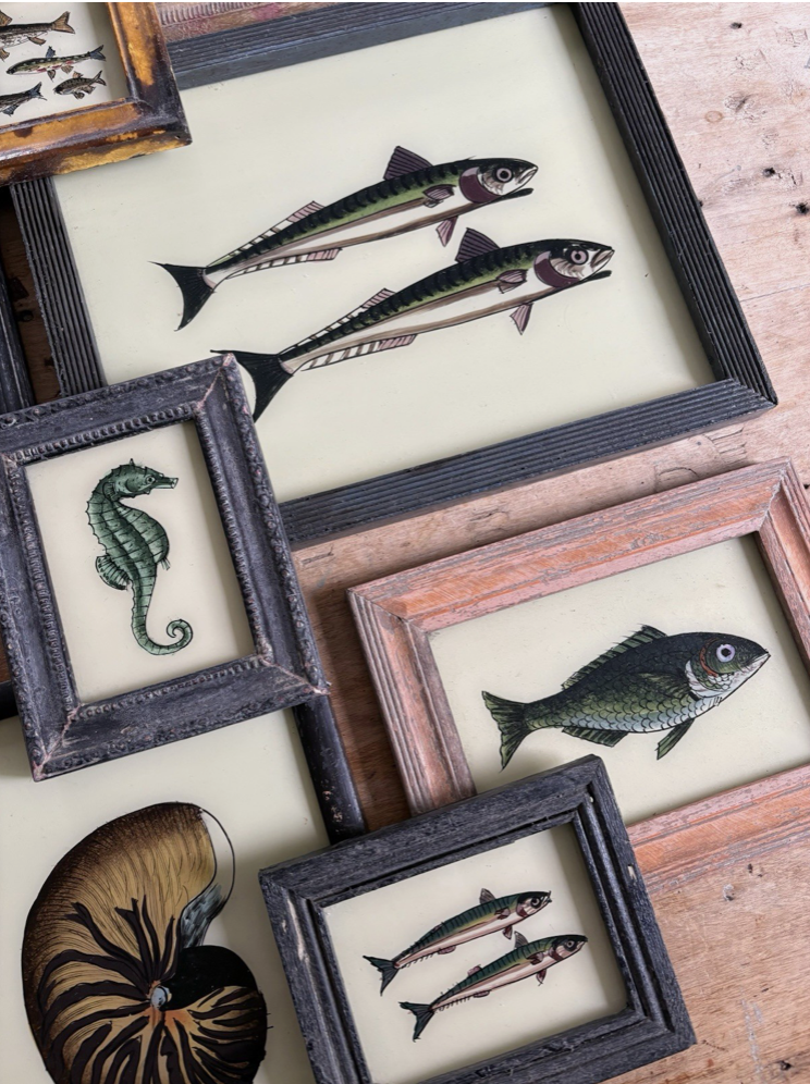 Screenshot 2026-03-04 at 15.26.30.png