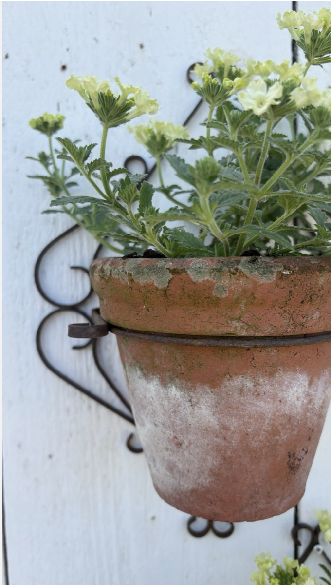 Screenshot 2026-05-24 at 07.42.45.png