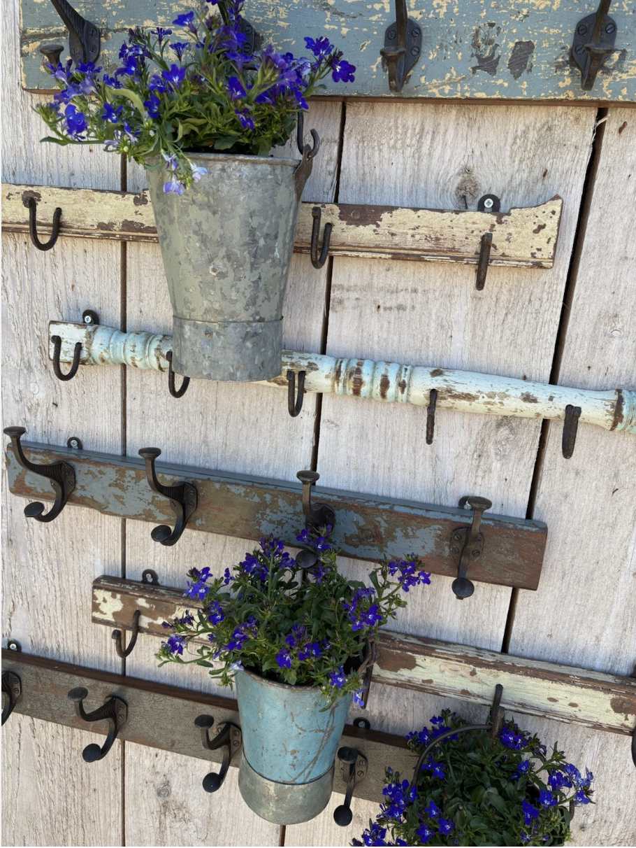Rustic Painted Coat Hooks