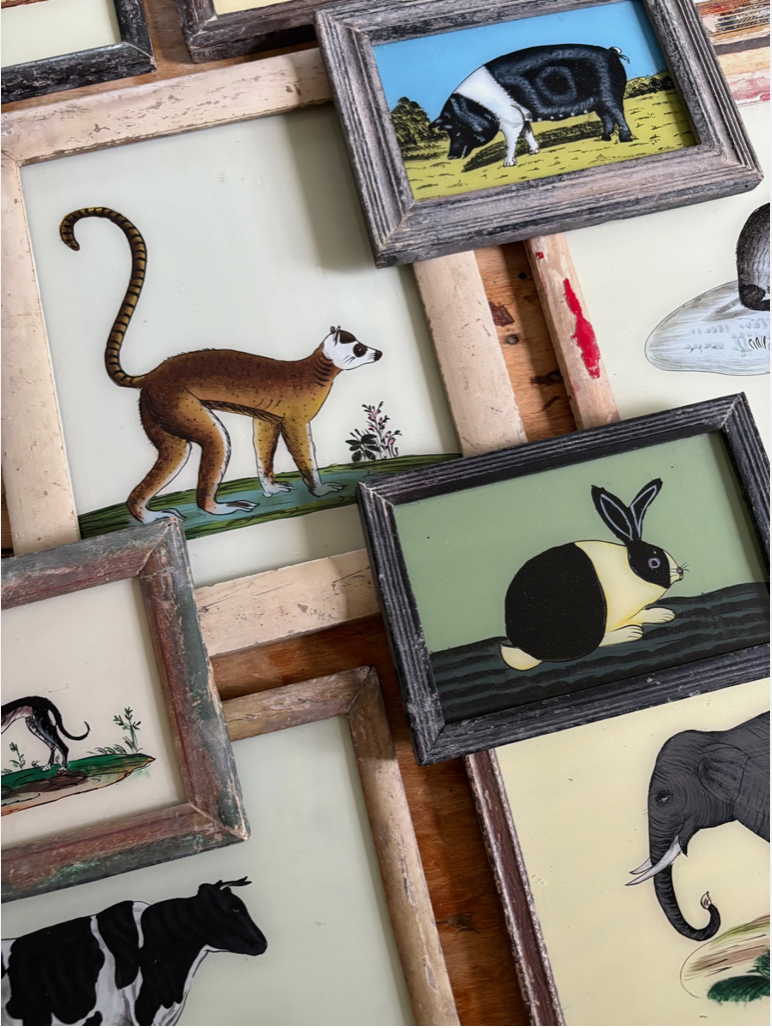 Animal Reverse Glass Paintings