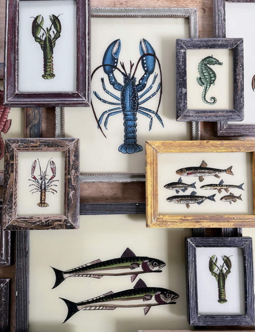 Screenshot 2025-12-16 at 12.44.56.png