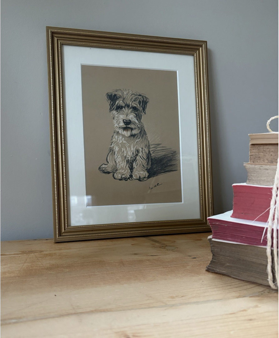 Screenshot 2026-01-05 at 11.27.23.png