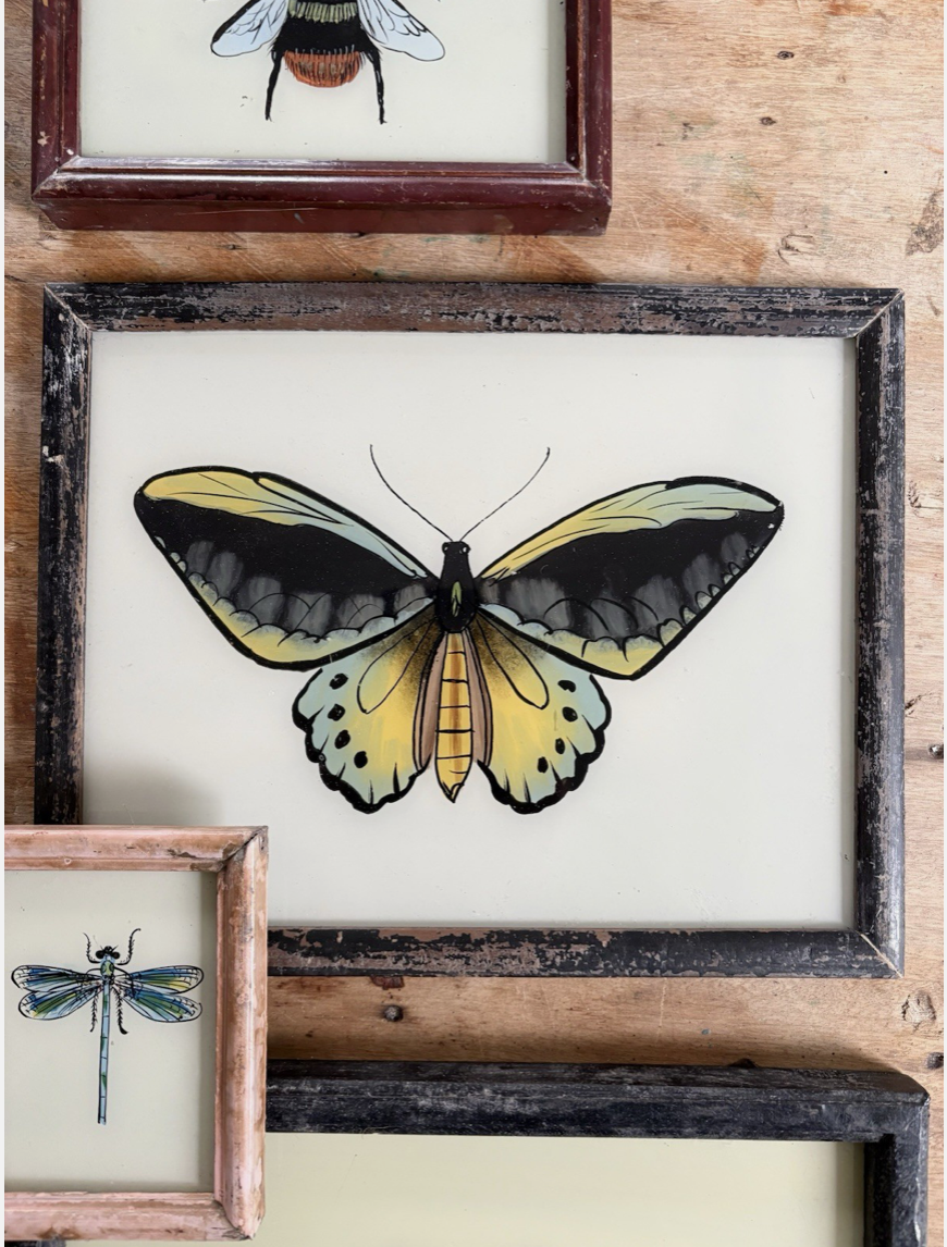 Screenshot 2025-12-16 at 10.37.43.png