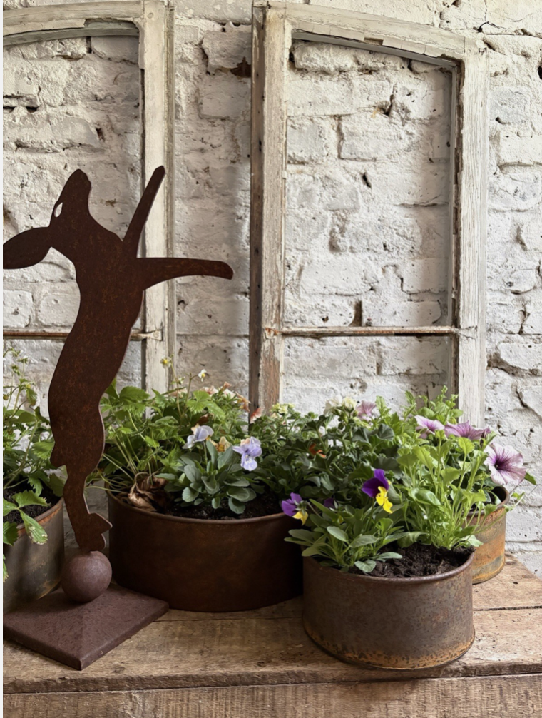 Screenshot 2026-04-24 at 11.11.34.png