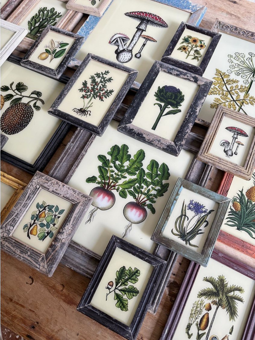 Botanical Reverse Glass Paintings