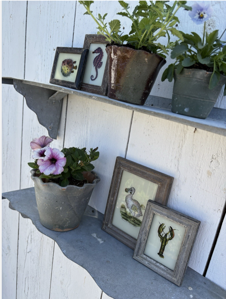 Screenshot 2026-04-24 at 11.37.15.png