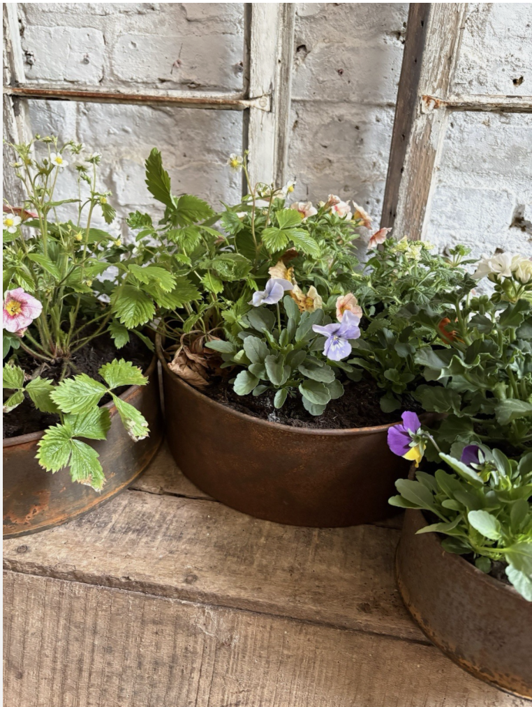 Screenshot 2026-04-24 at 11.10.30.png