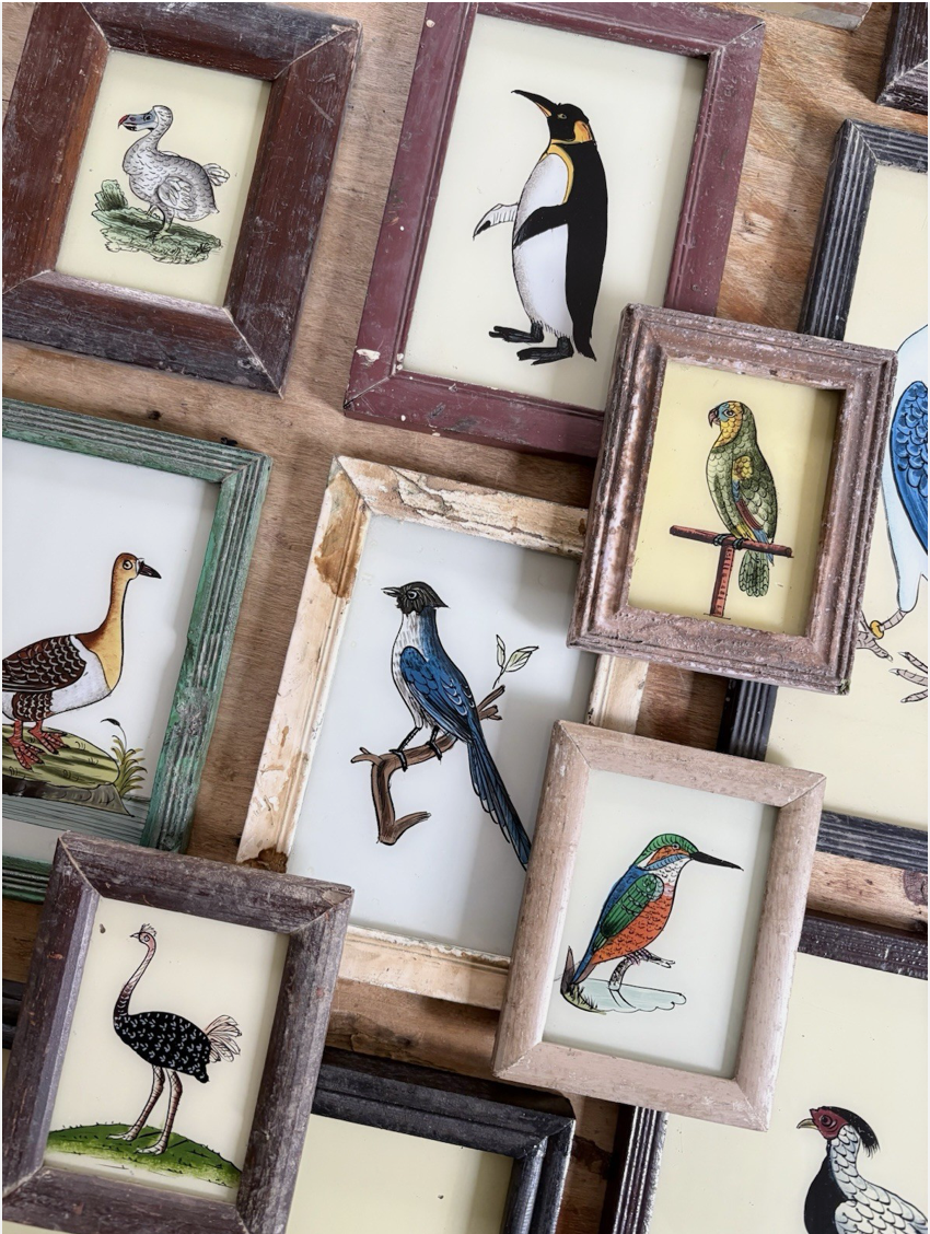 Bird Reverse Glass Paintings