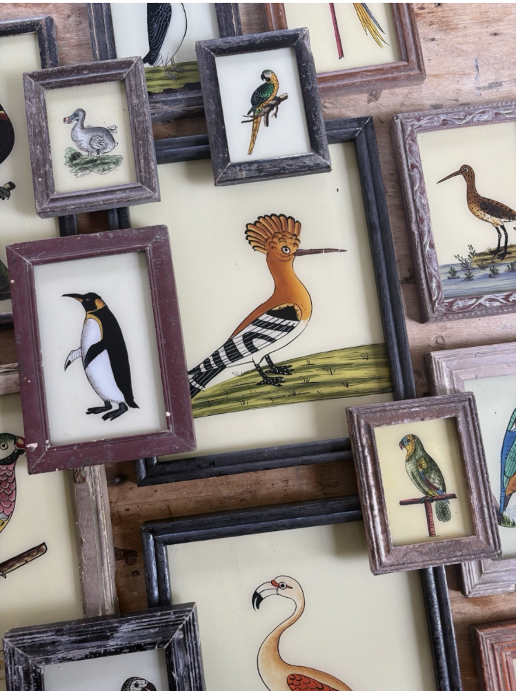 Bird Reverse Glass Paintings