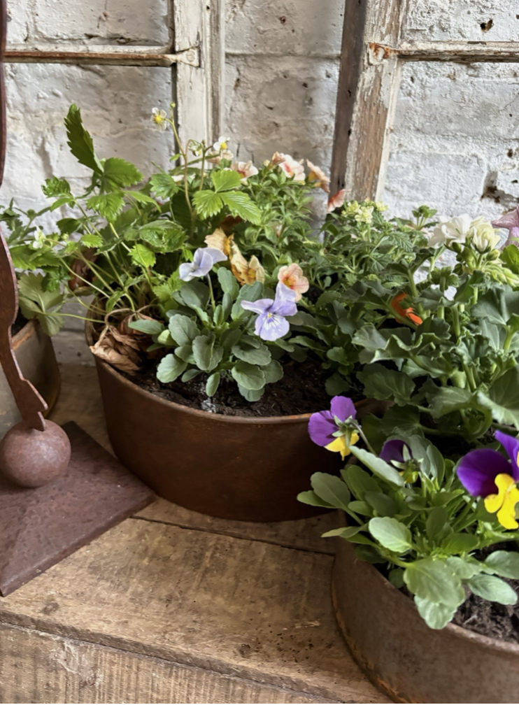 Screenshot 2026-04-24 at 11.11.54.png