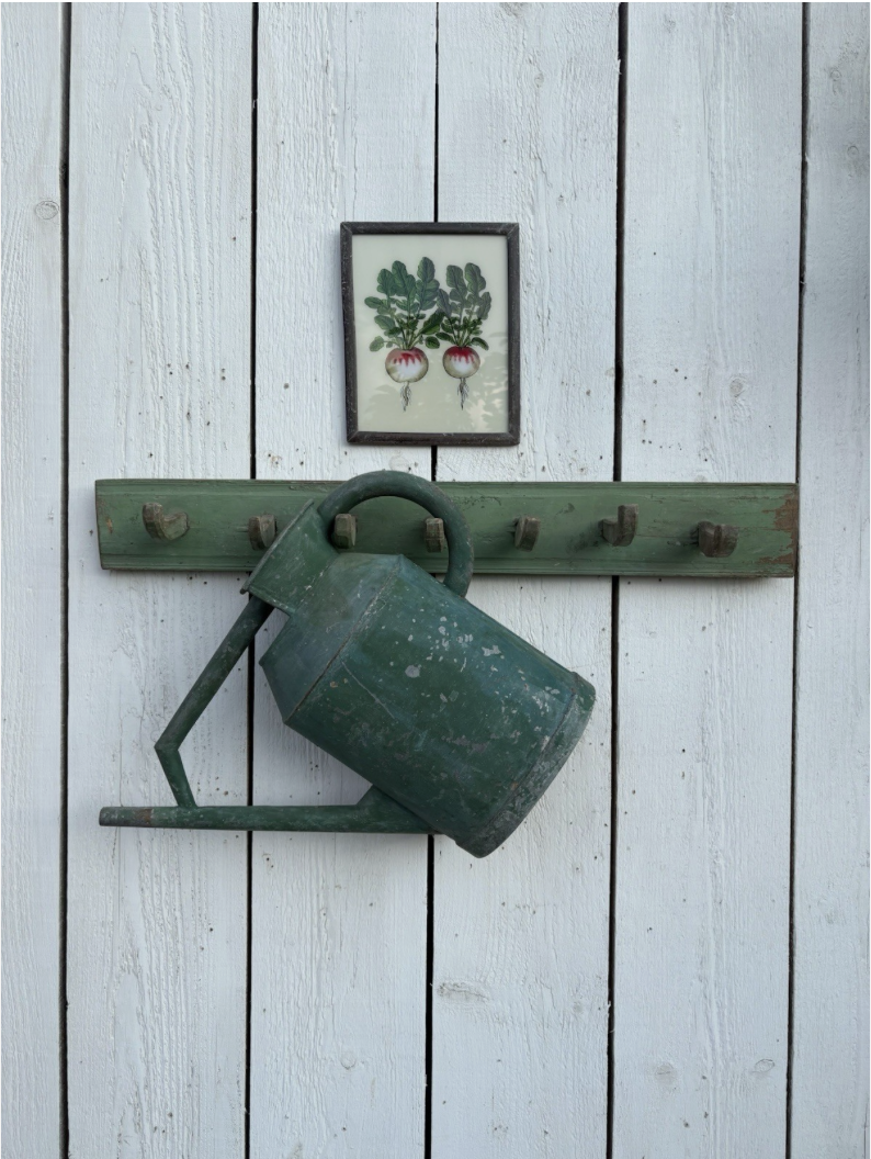 Hungarian Primitive Green Painted Coat Rack