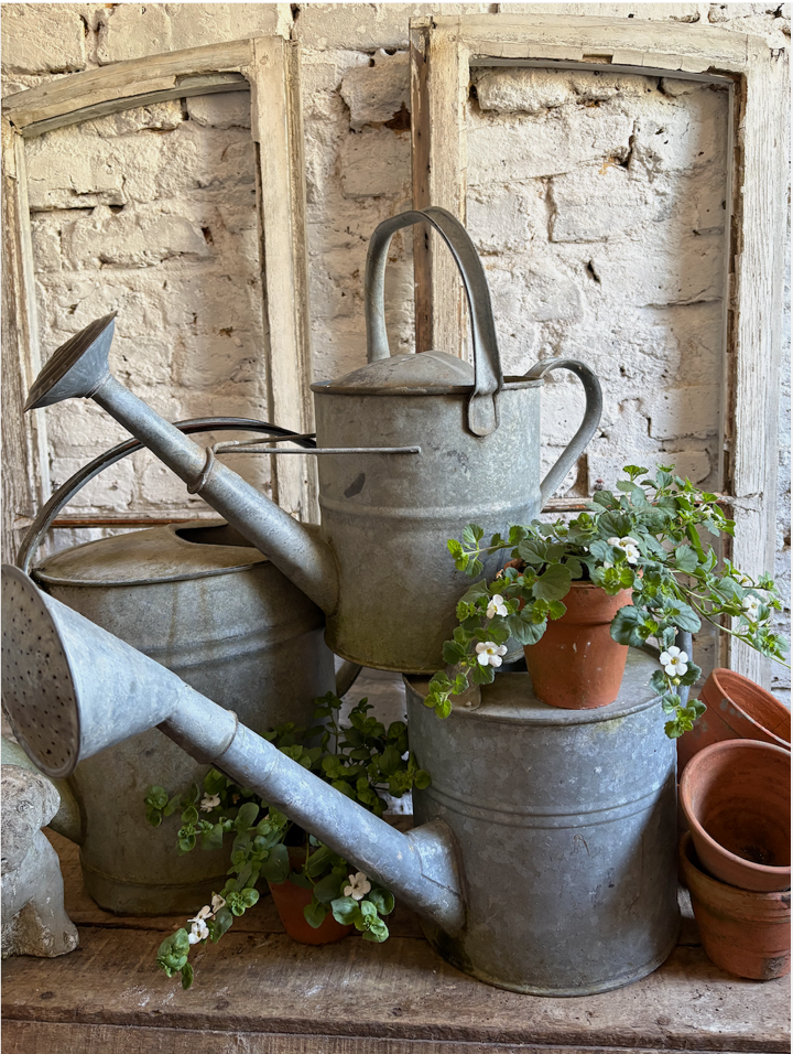 Screenshot 2026-04-22 at 14.22.06.png