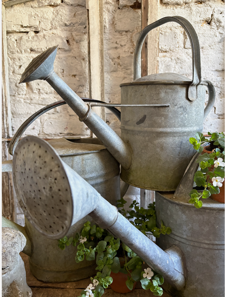 Screenshot 2026-04-22 at 14.21.39.png