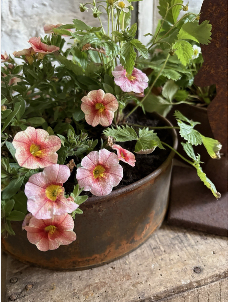 Screenshot 2026-04-24 at 11.12.03.png