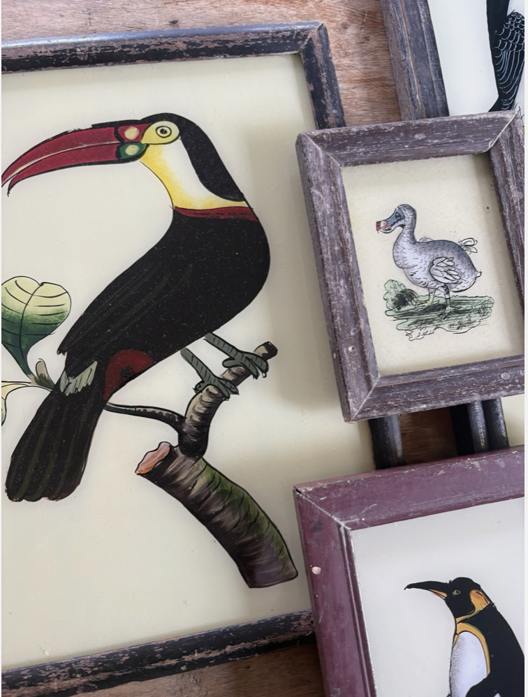 Screenshot 2026-03-04 at 14.43.29.png