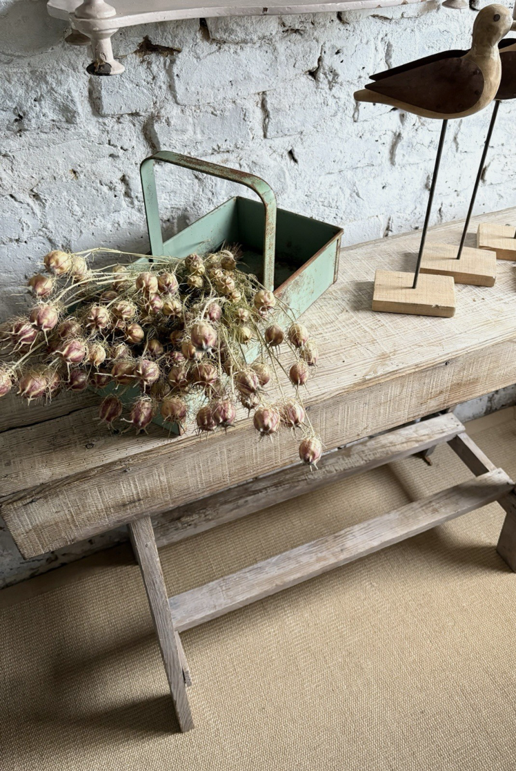 Screenshot 2026-01-17 at 19.09.31.png