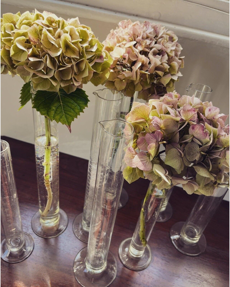 Screenshot 2026-02-07 at 11.48.05.png