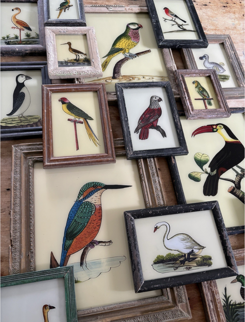 Bird Glass Paintings