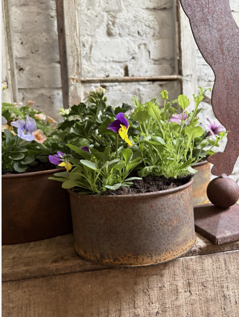 Screenshot 2026-04-24 at 11.10.47.png