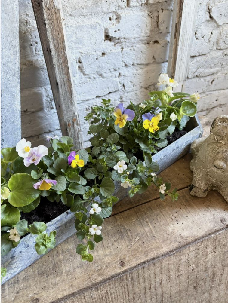 Screenshot 2026-04-20 at 20.06.38.png