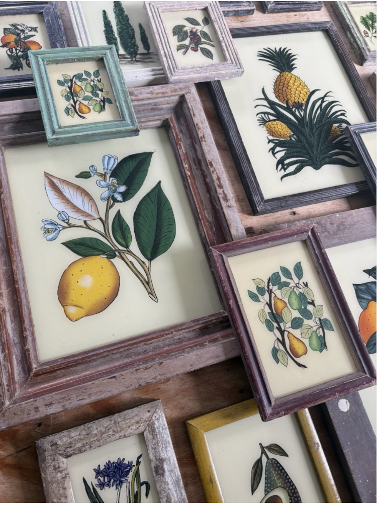 Botanical Reverse Glass Paintings