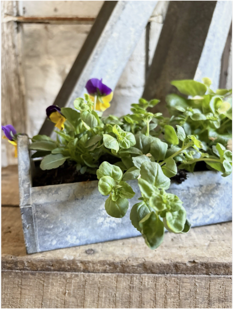 Screenshot 2026-04-20 at 20.06.06.png