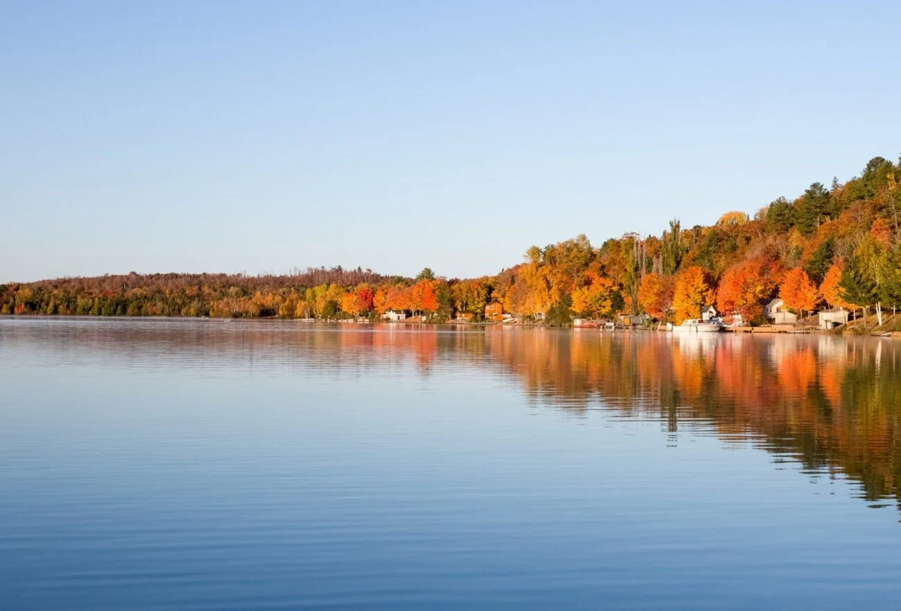 The Ultimate Hamptons Fall Wine Tasting &amp; Harvest Guide
