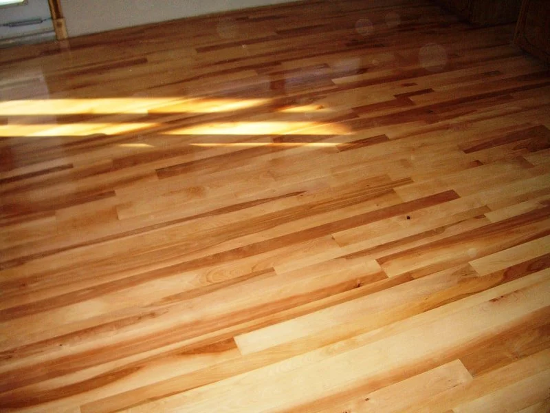 Polished hardwood floor with sunlight reflections