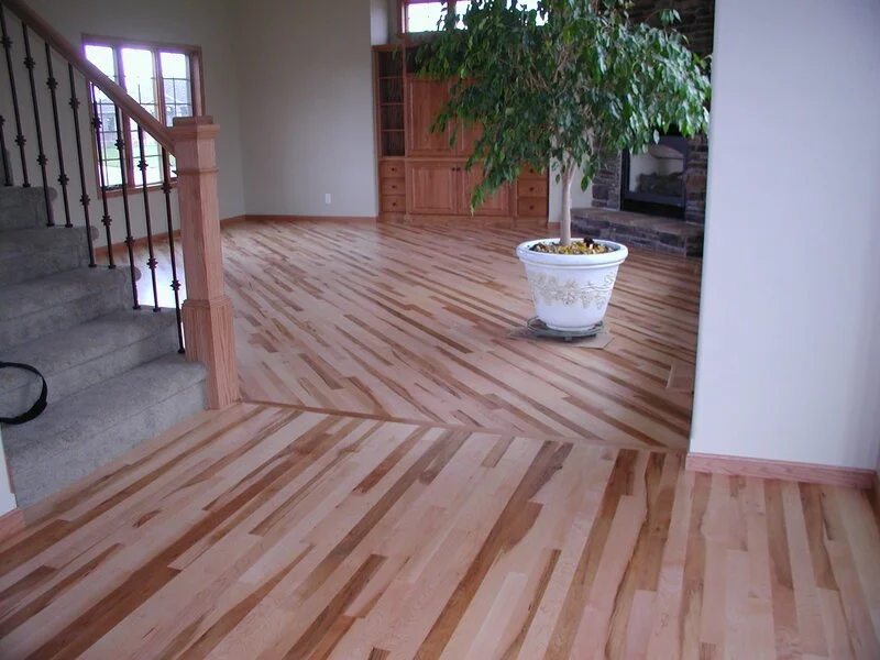 Interior of a modern home with hardwood flooring, a potted plant, carpeted stairs, and wooden built-in shelves.