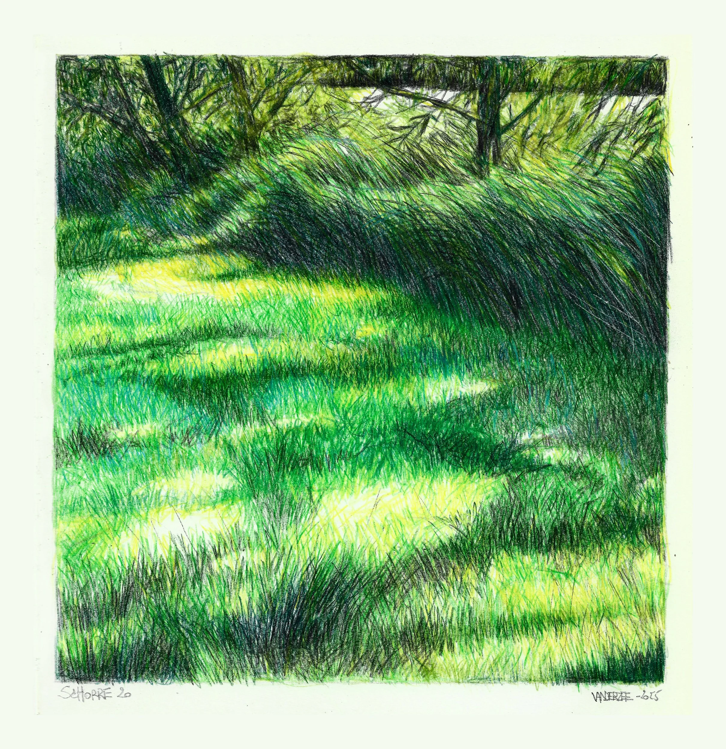 Schorre 20  (watercolour pencil study) 30/29