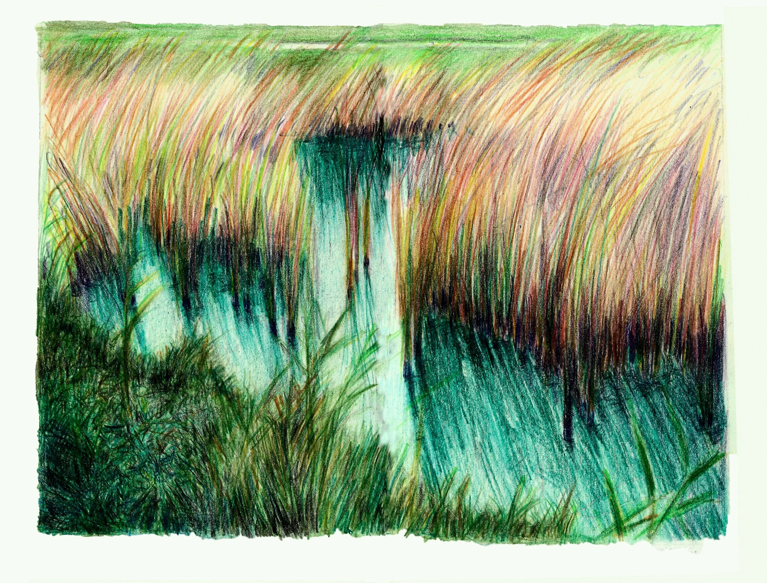 Schorre 7 (watercolour pencil study) 25/21