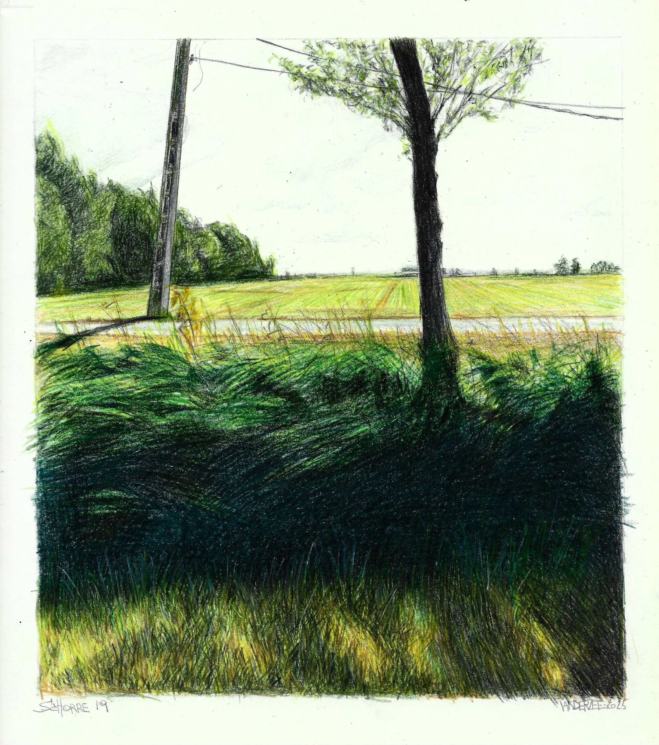 Schorre 19 (watercolour pencil study) 30/29