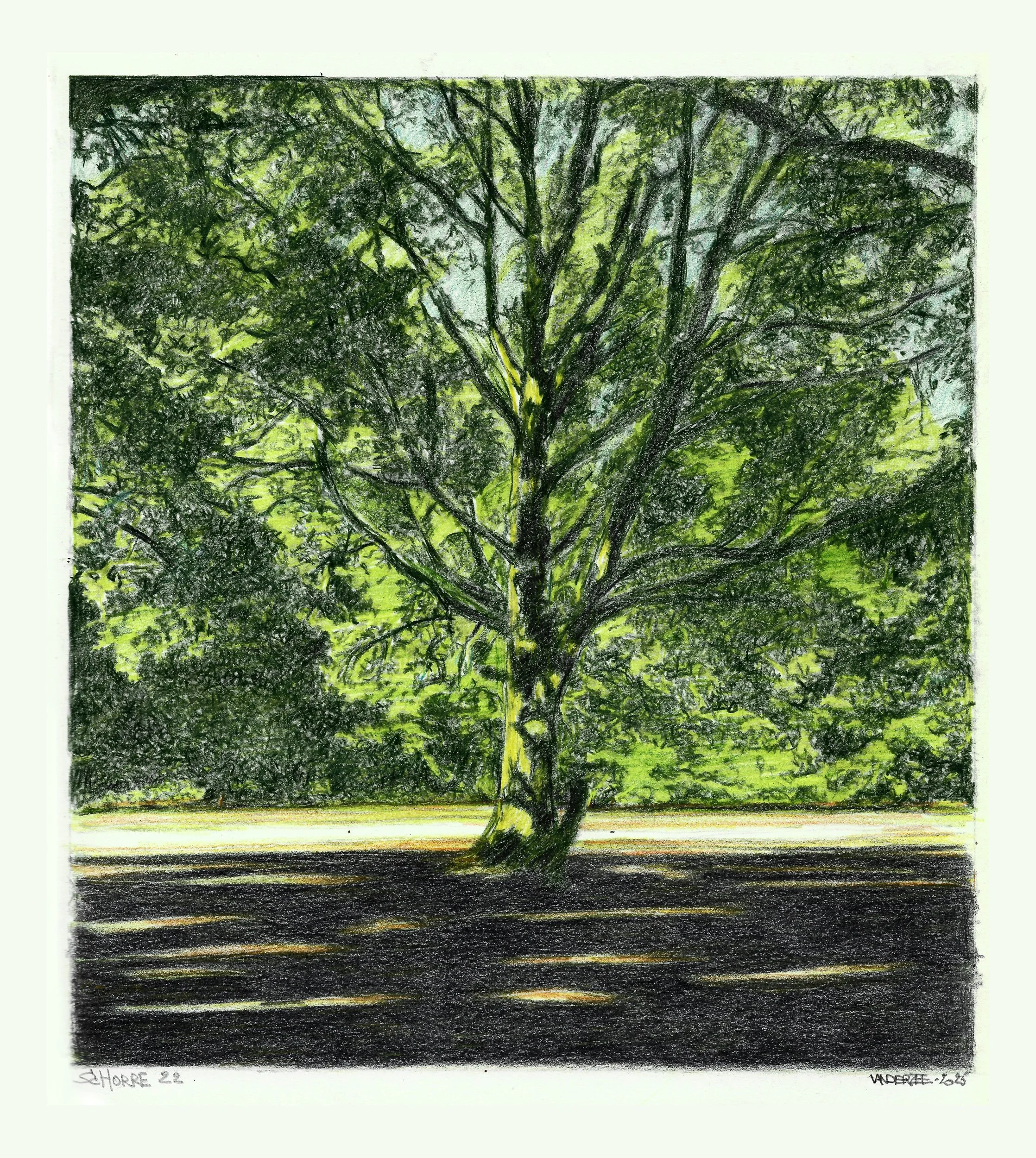 Schorre 22 (watercolour pencil study) 30/29