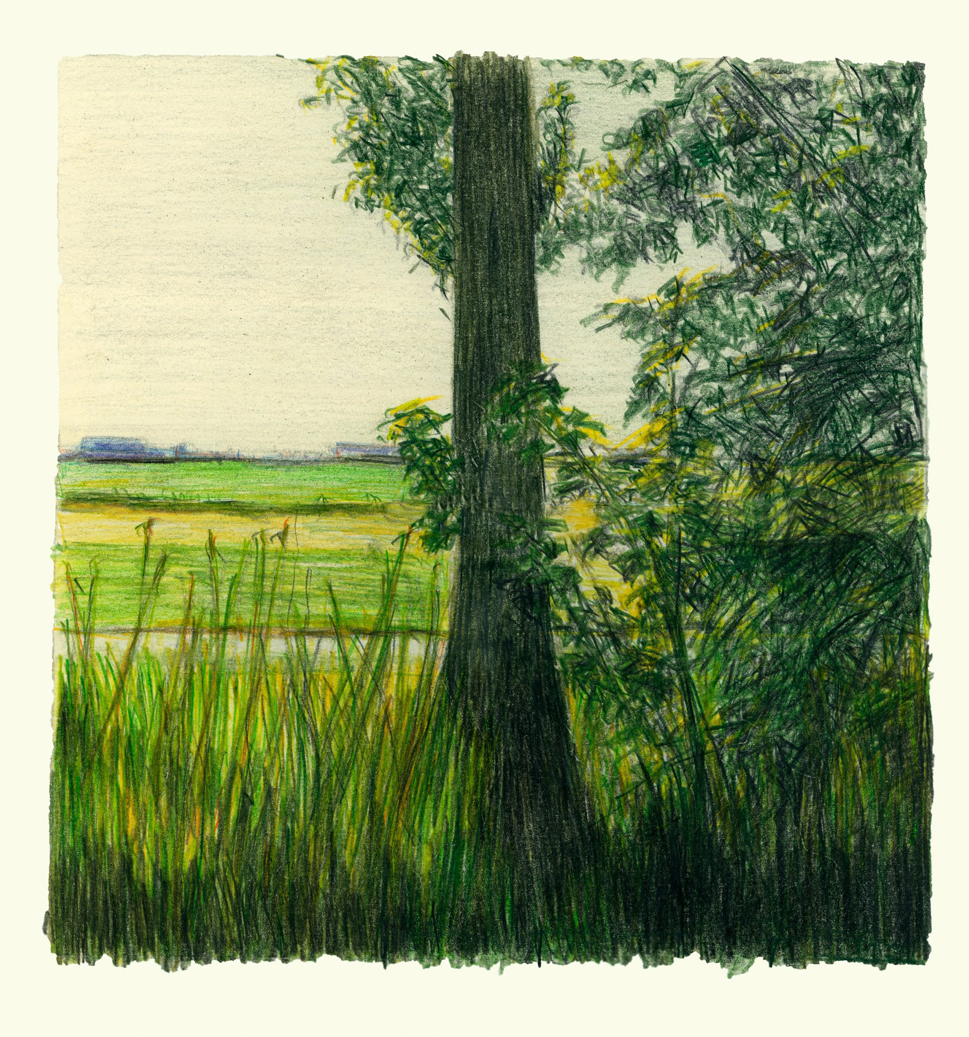 Schorre 10 (watercolour pencil study)  26/21