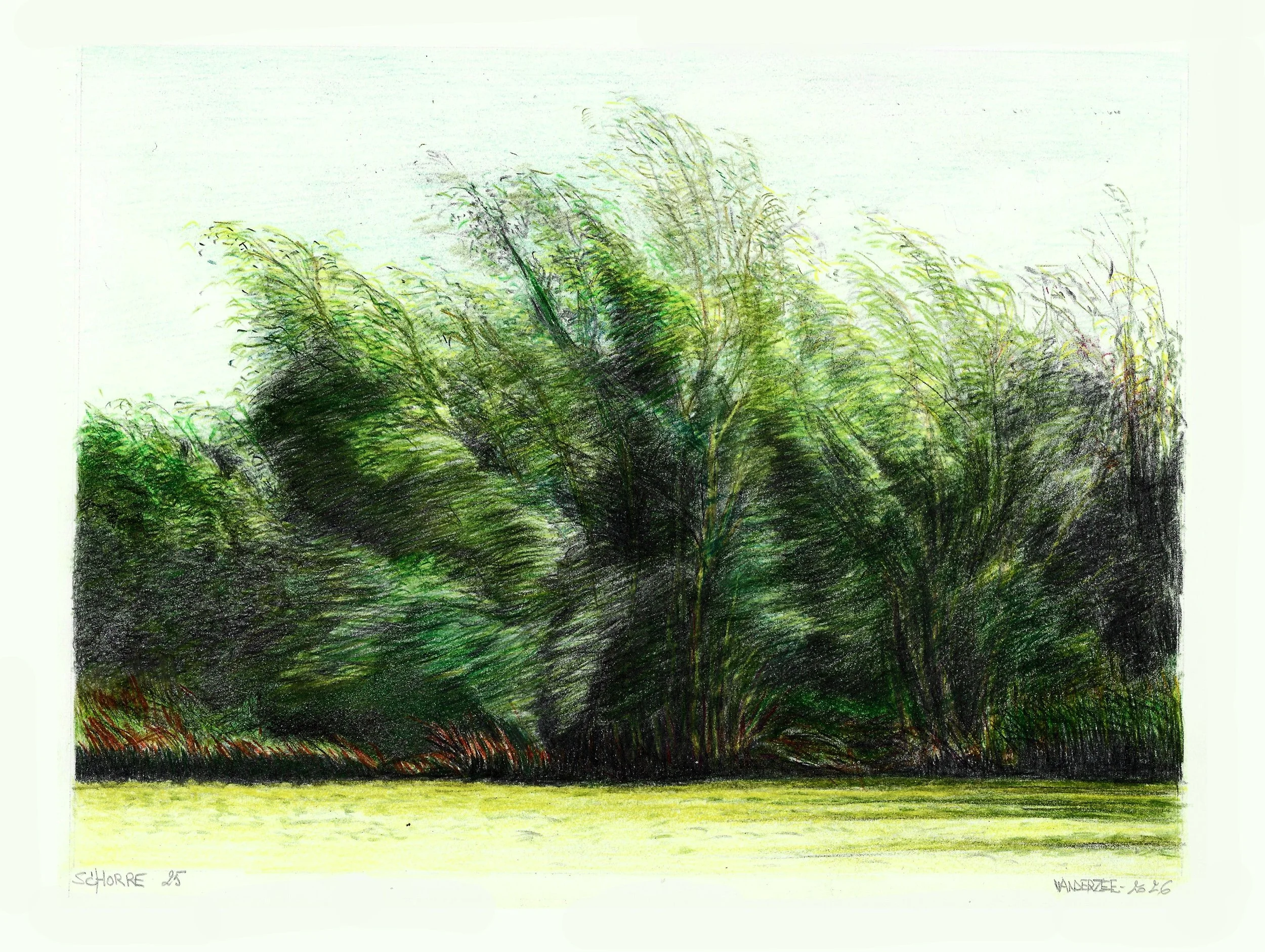 Schorre 23 (watercolour pencil study) 30/29