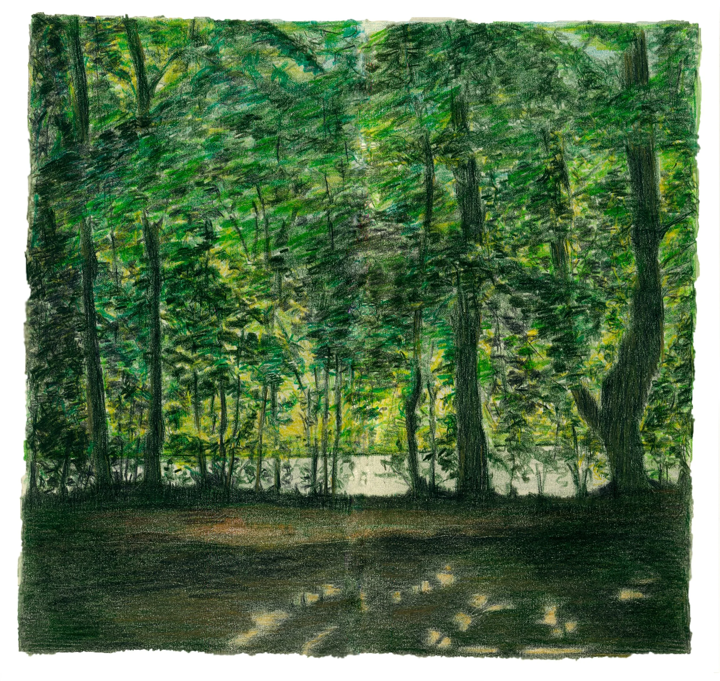 Schorre 15 (watercolour pencil study) 21/26